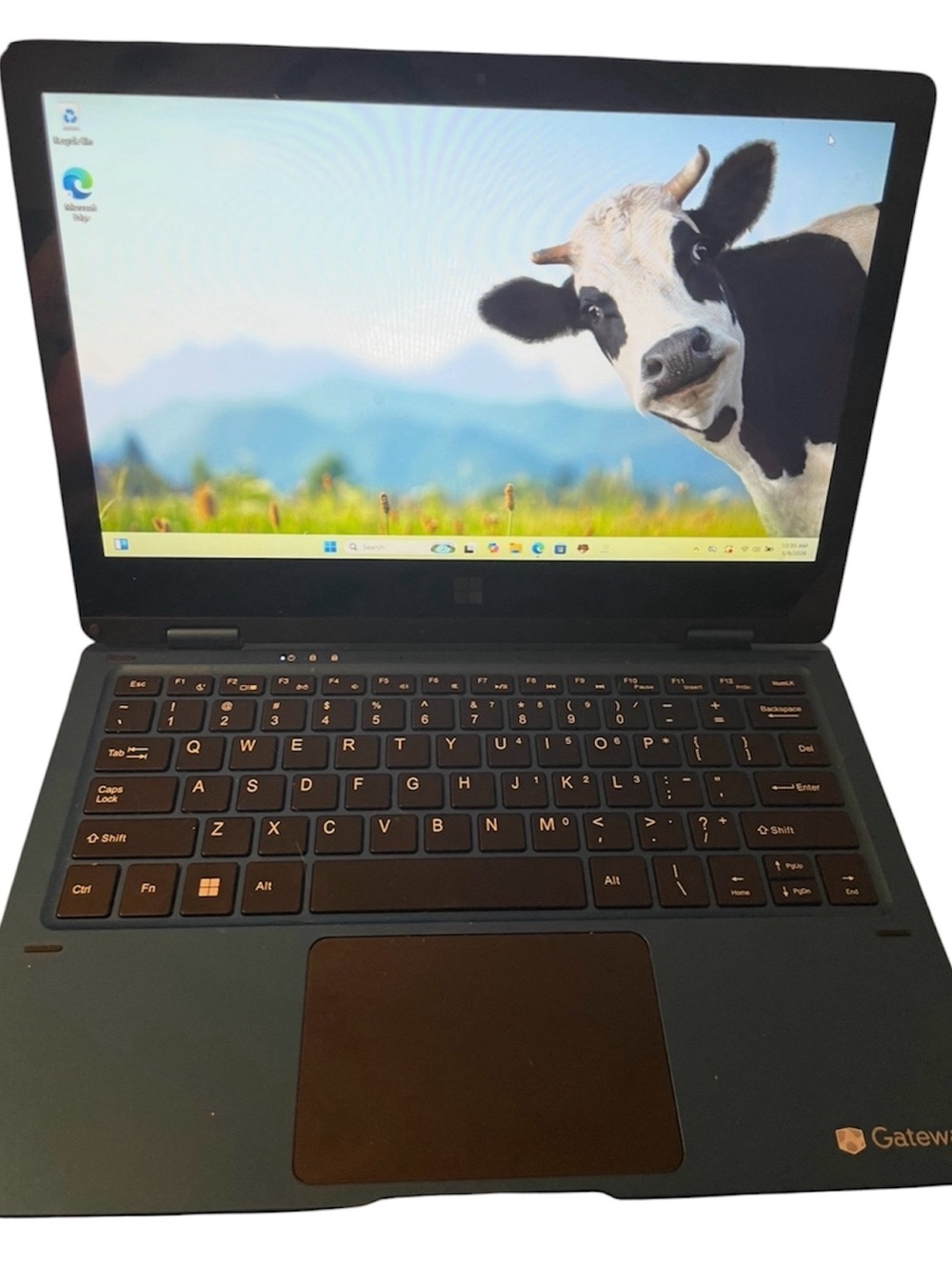 11.6" Gateway GWTC116-2BL Blue Compact Laptop. In great condition factory reset!